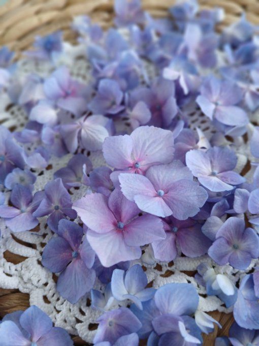 Collier Bigoudène Hortensia