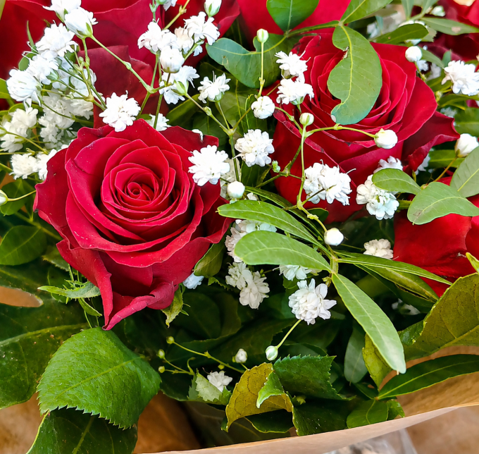 Collier  Coup de Coeur